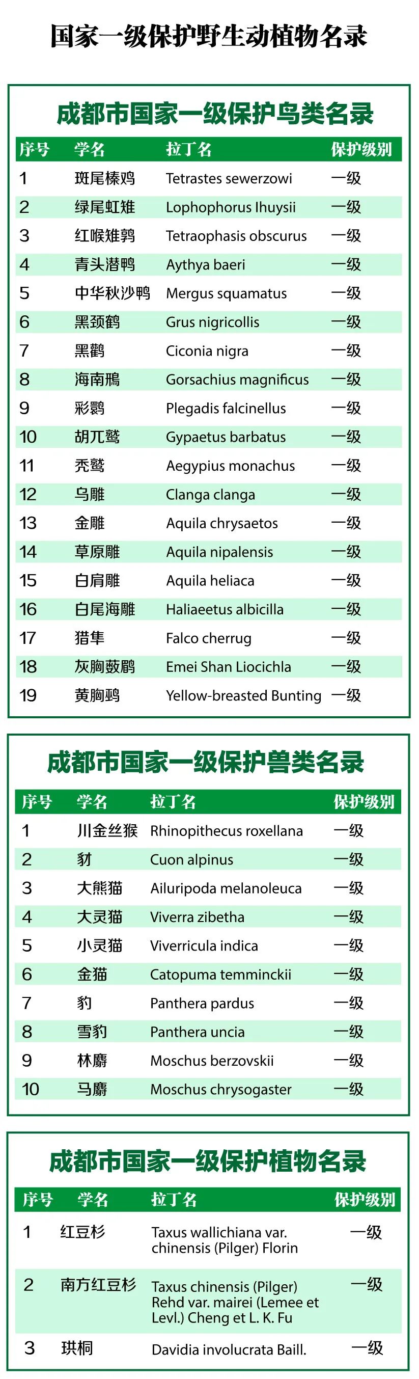 来认识长在石头上的植物,成都有哪些生物