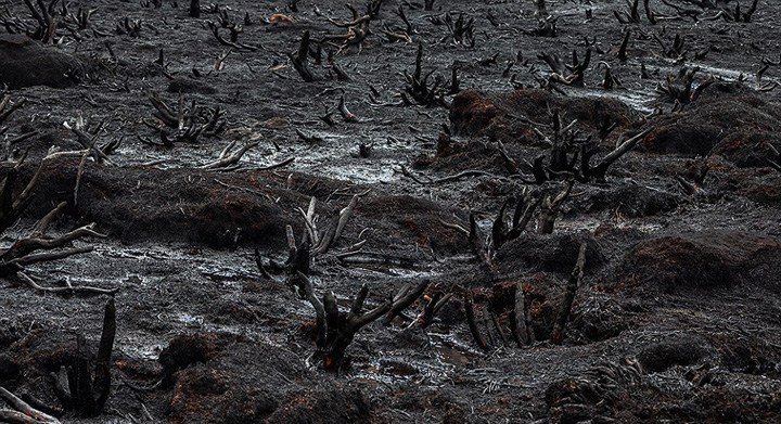 满族不吃狗肉，回族不吃猪肉，那汉族不吃什么肉？