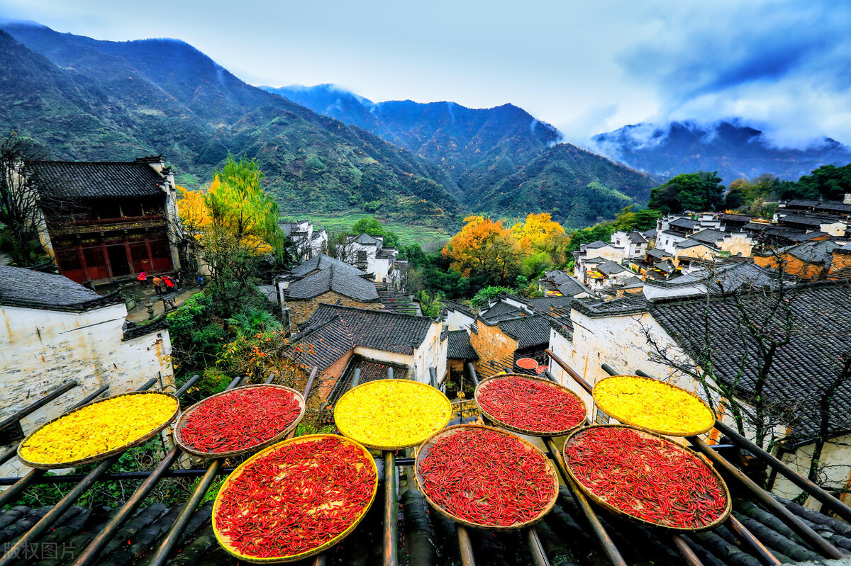 两万元让子女不再和睦：比“失心”更可怕的是“偏心”，建议你看