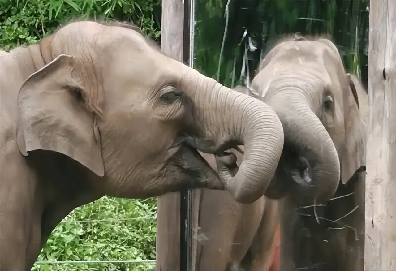 关于世界与未来的预言,世界的十大猜想