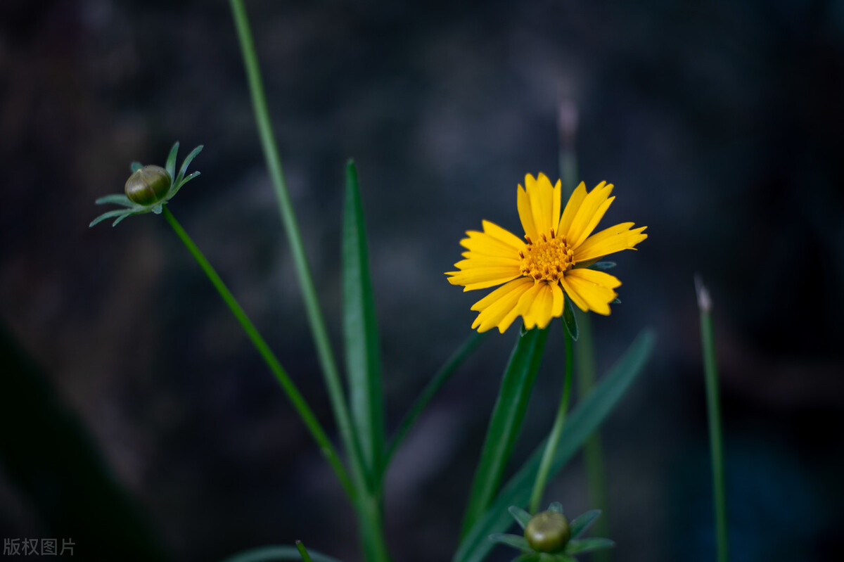 男人对女人有真爱有哪些表现,男人对女人的真爱表现在哪里