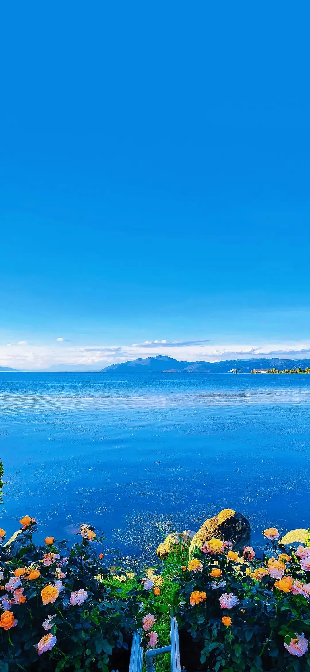 钃濆ぉ澶ф捣缇庢櫙楂樻竻妯睆瑙嗛,钃濆ぉ澶ф捣缇庢櫙鍥剧墖