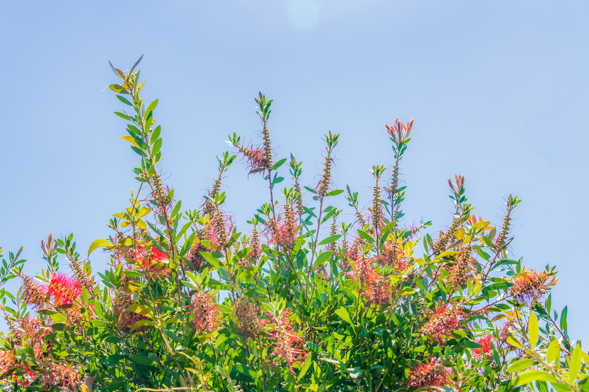 让一个人变得有自信的10件事情,一个人开始变得优秀的四种表现