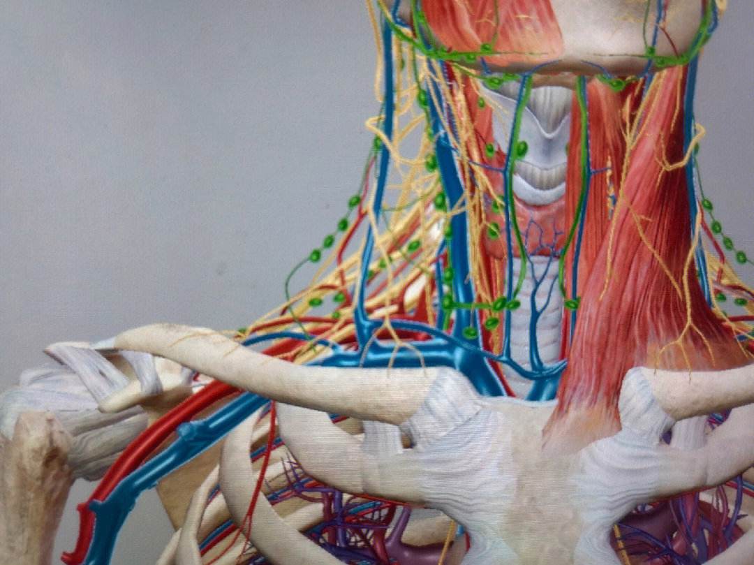 中医针灸治疗颈椎病原理,颈椎病针刀按摩针灸哪种方法好