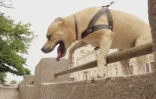 手机充电太慢怎么办vivo,安卓手机充电太慢怎么办