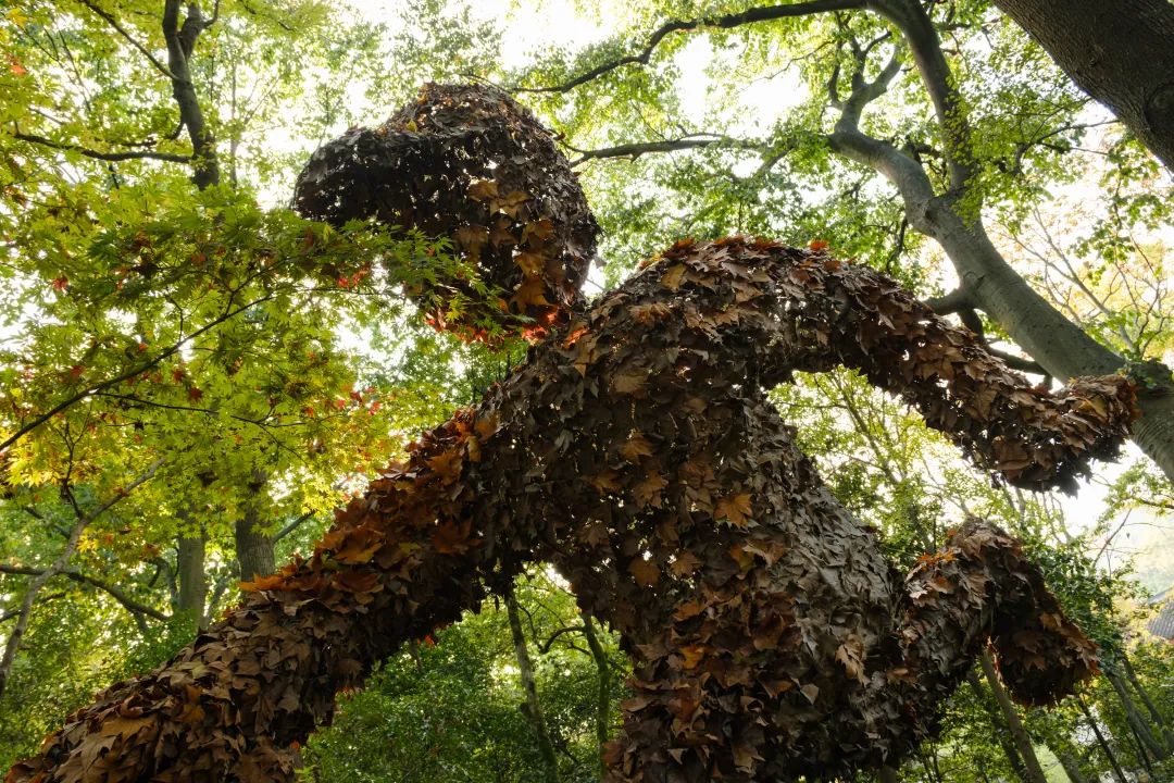 适马85mmf1.4镜头富士卡口,富士适马18-50镜头评测