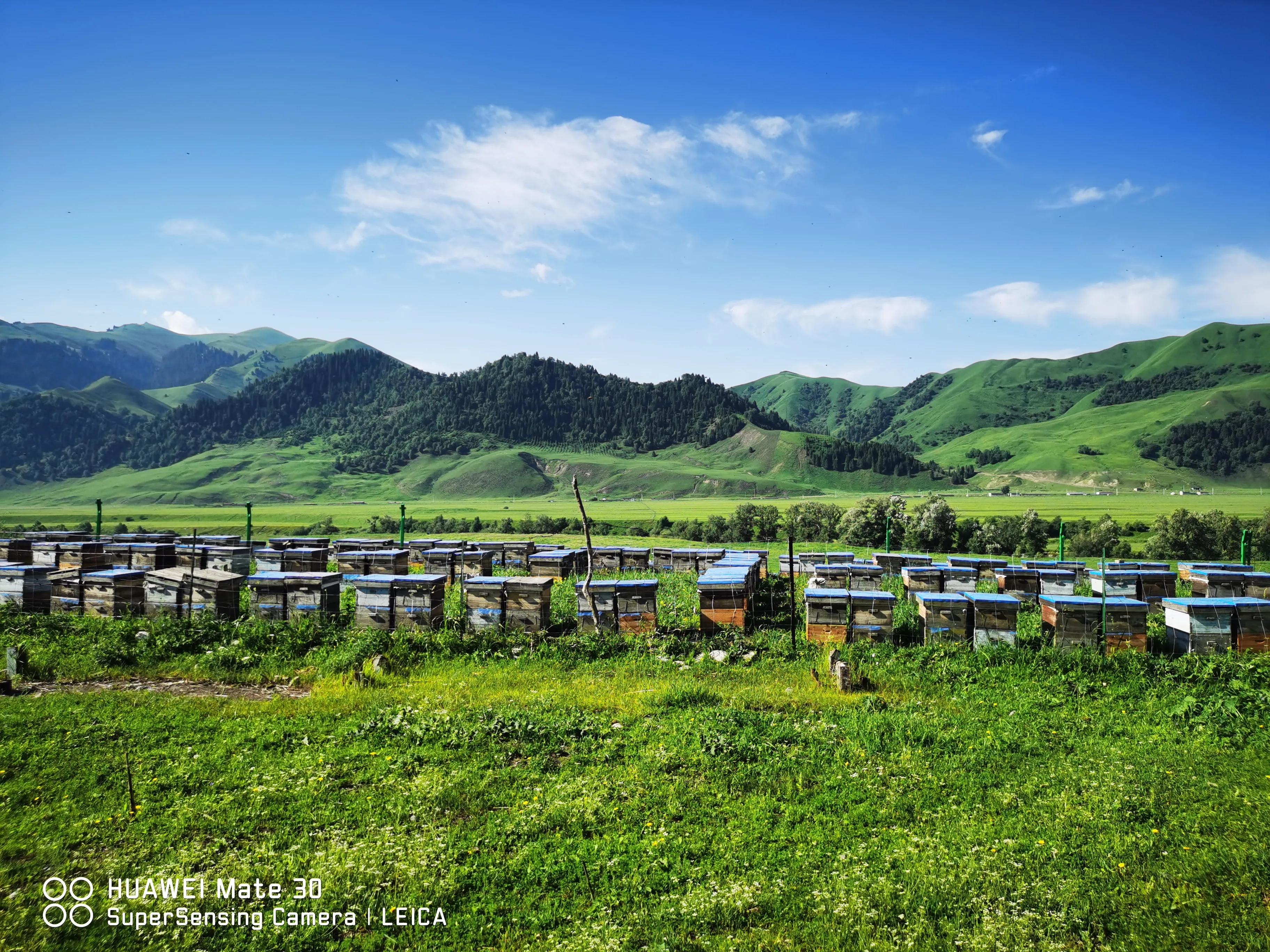 2022进疆自驾游,23年第三次自驾进疆