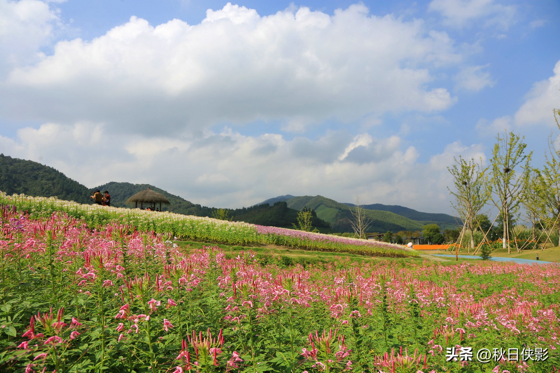 杭州周边秋日赏景好去处,杭州周边当季旅游景点推荐