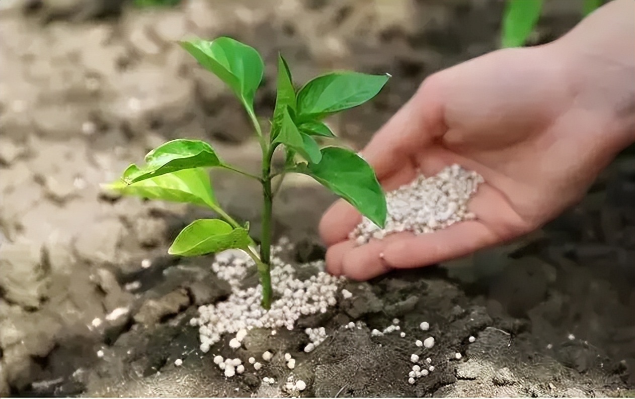 化肥使用时农作物损失怎么赔偿,农民种植遇到灾害怎么办
