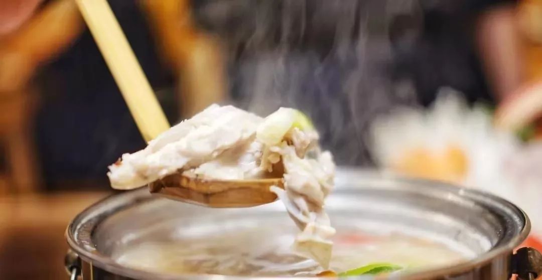 滋补甲鱼锅图片,招牌滋补河豚