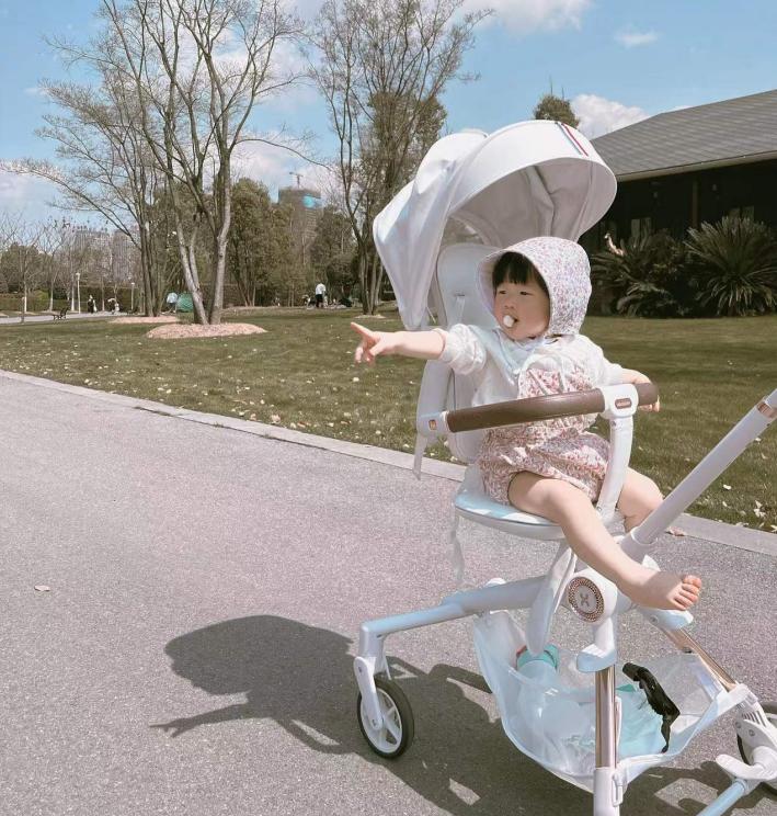 婴儿车推荐十大品牌,婴儿车哪种品牌质量好