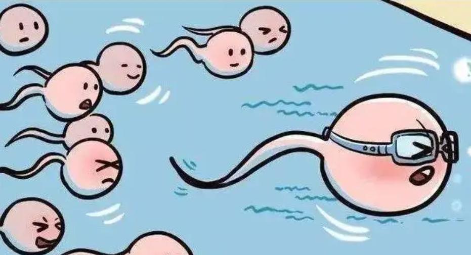 人类祖先留下来的遗传基因,人类性别决定与哪些基因有关