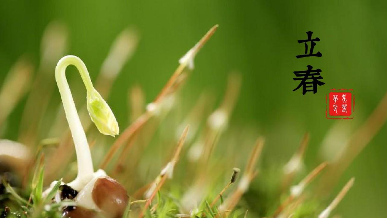 中国传统文化节日节气分享,感受中国地方特色的传统节日文化