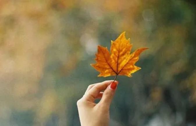 好好赚钱用心生活并没有错,好好赚钱吧过自己想要的生活