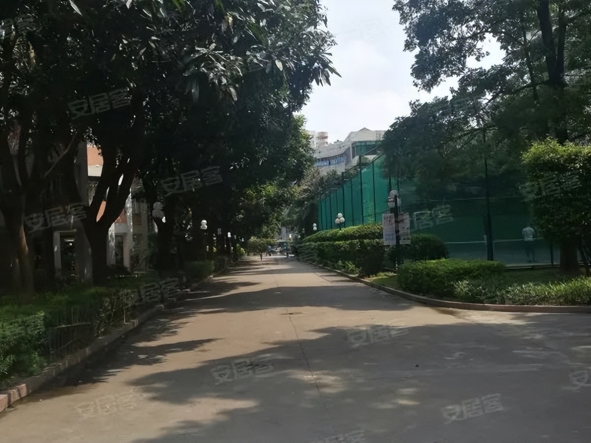 海关小学变华康!160个学生,160张课表?