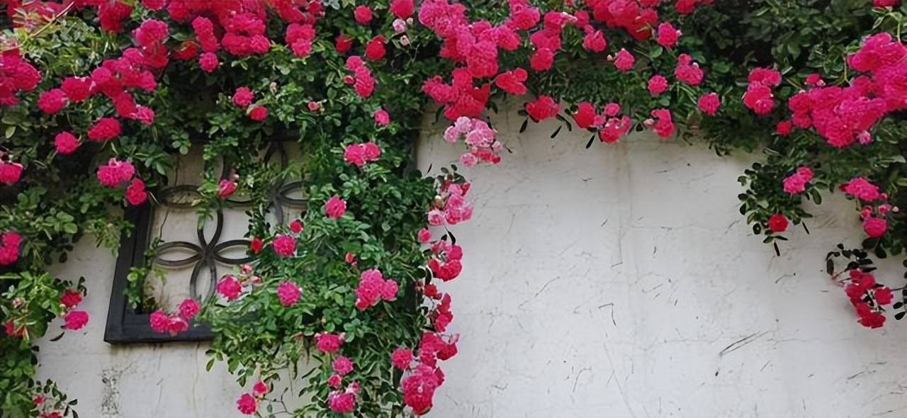 云南绝美十大仙境,云南发现真正的世外桃源