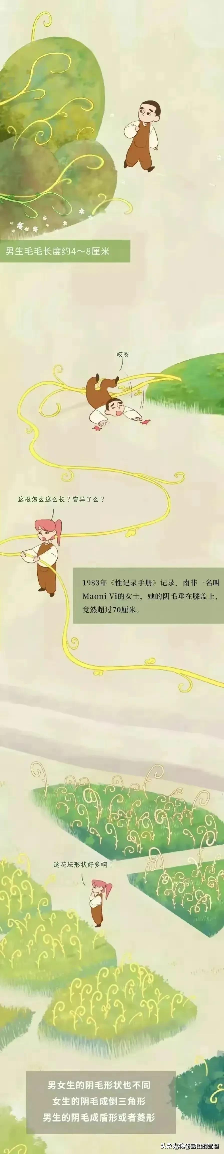 人类阴毛从初生到脱落的全过程，中间都会出现哪些变化？