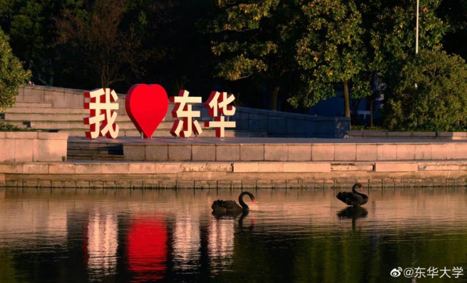 【云端研学】在龚俊同款母校东华大学读研究生是一种什么体验？