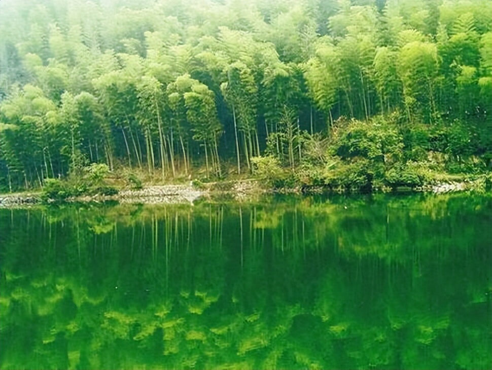 林海山水画作品欣赏,国内十大竹海排名