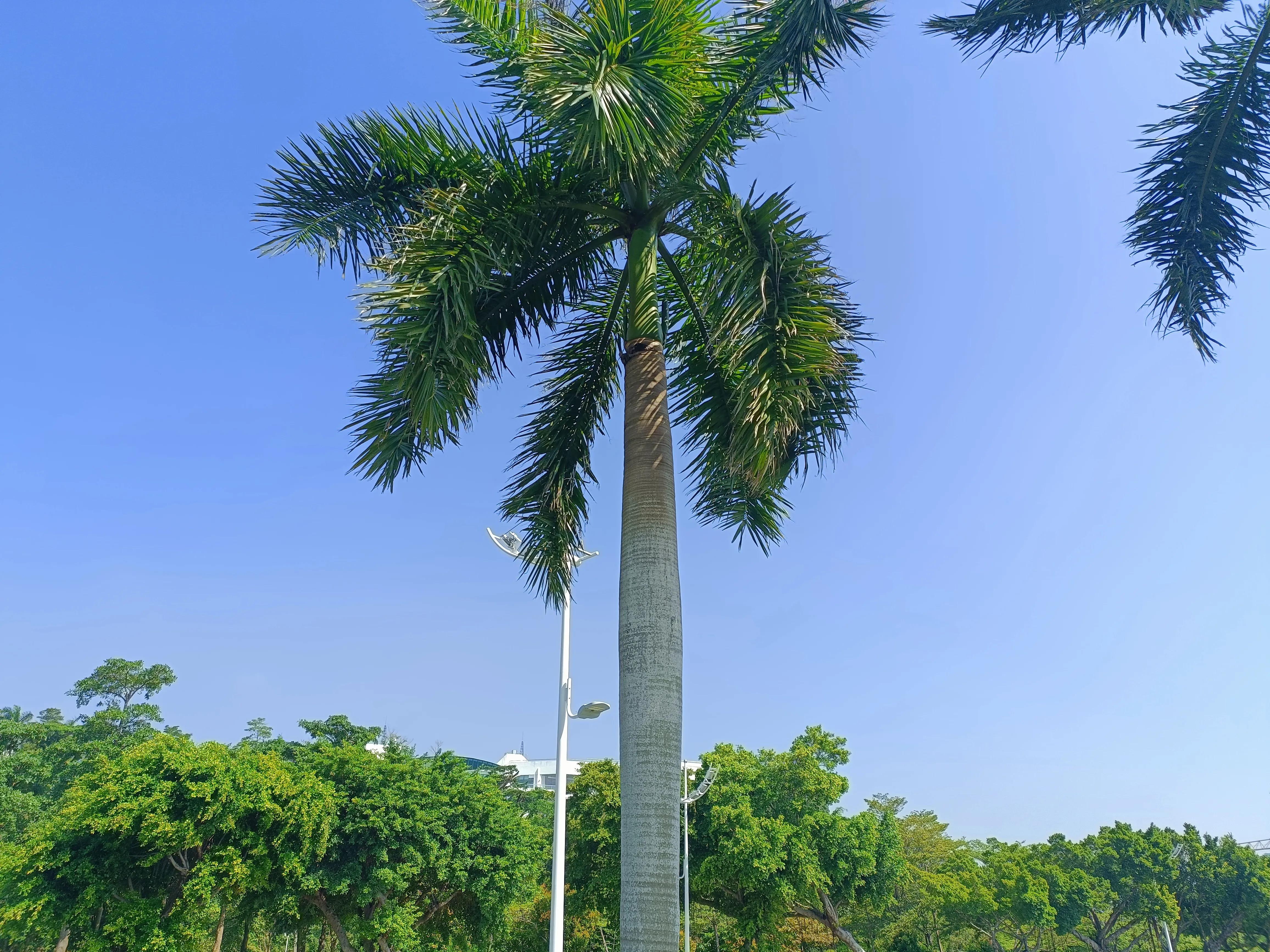 唱一首人生歌,唱一首人生没有回头路