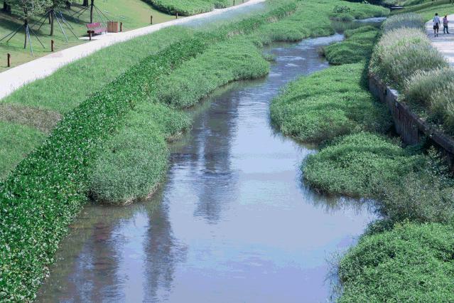 家住深圳必去的公园绿道,深圳环湖绿道好玩么