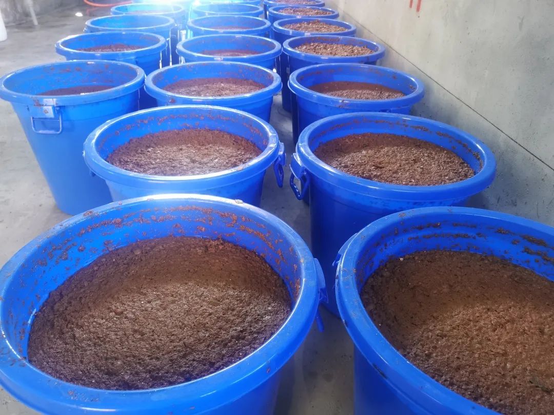 乡村振兴汶川县,我眼中的乡村振兴创业青年