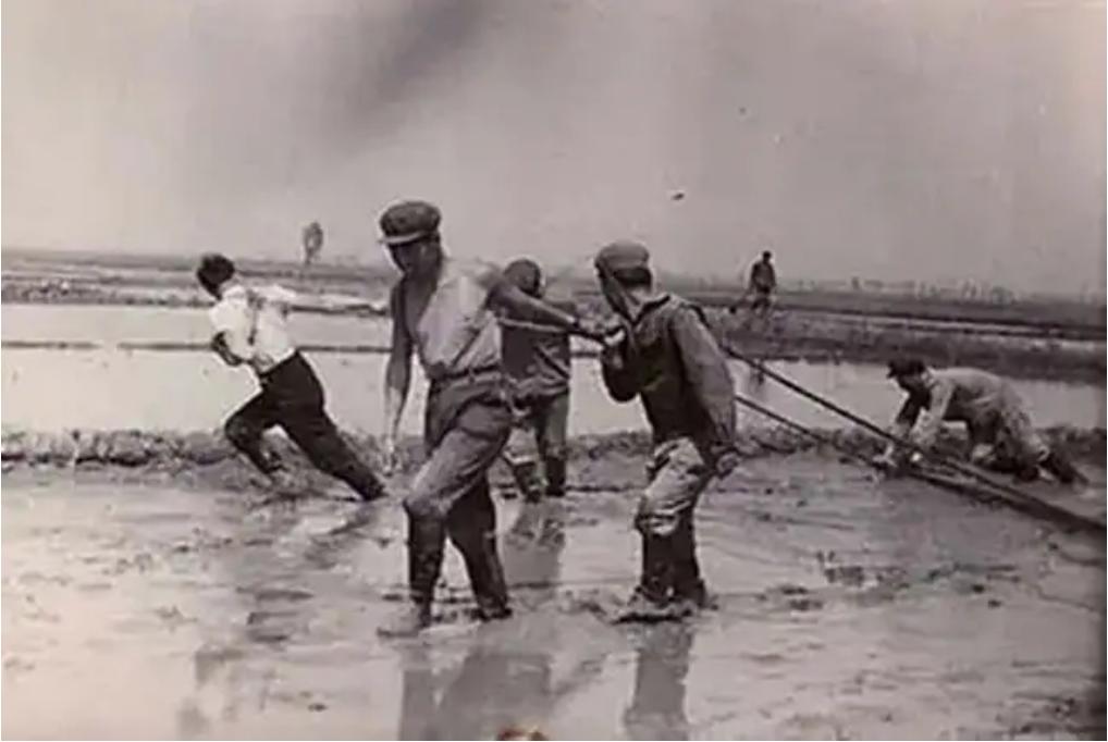 20岁重庆知青小伙，“下嫁”31岁带4娃的寡妇，至今仍在大山中