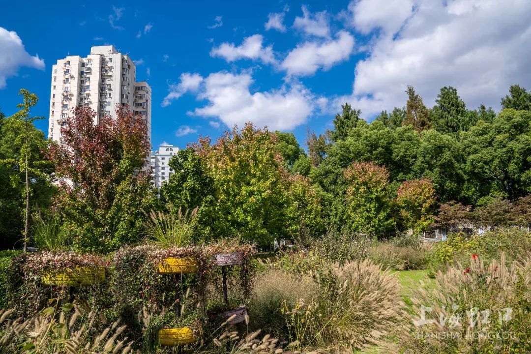 云淡风轻的晴朗天气,云淡风轻好天气