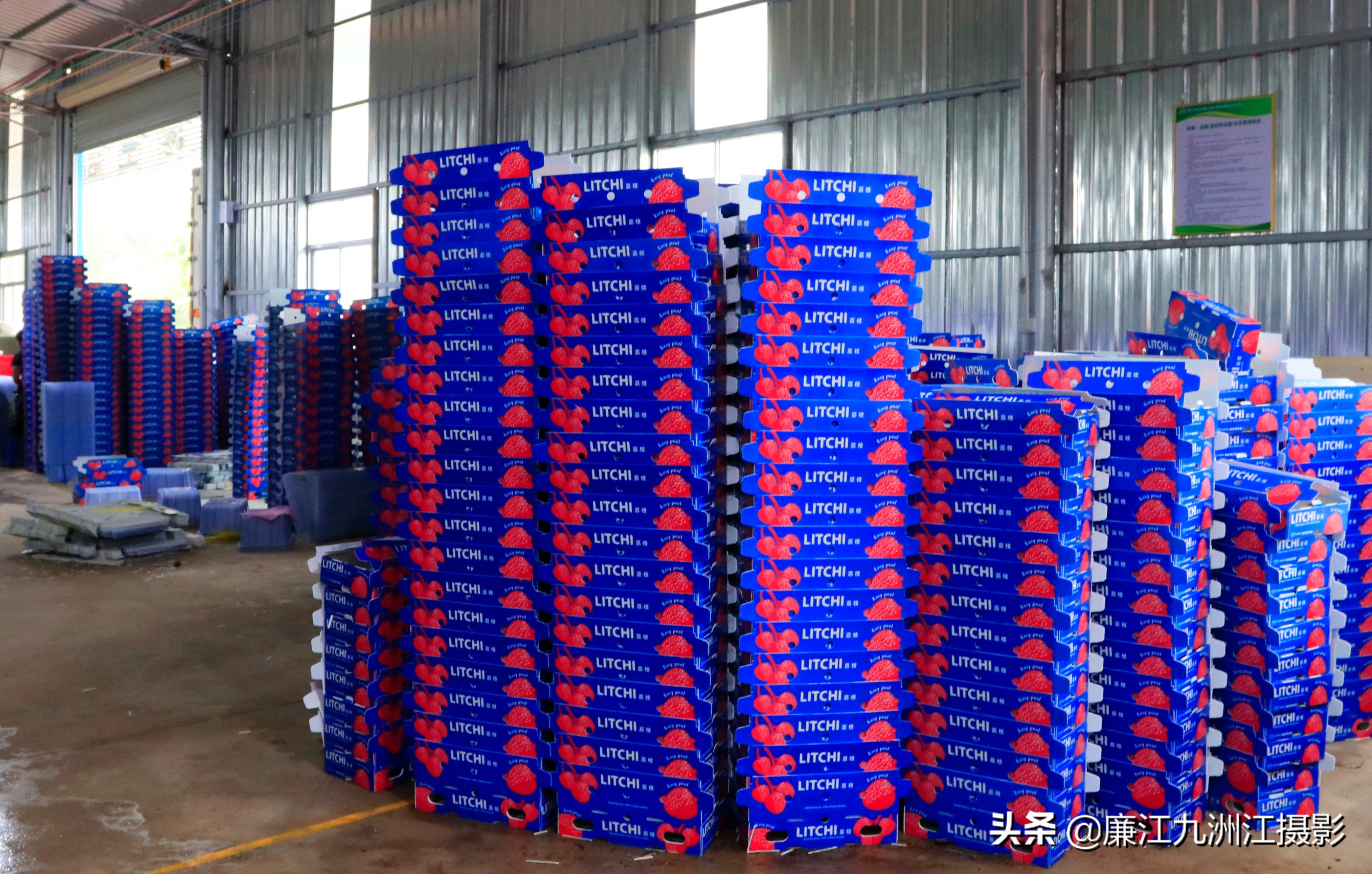 廉江吉水绿之源合作社,廉江市绿之渌分拣中心