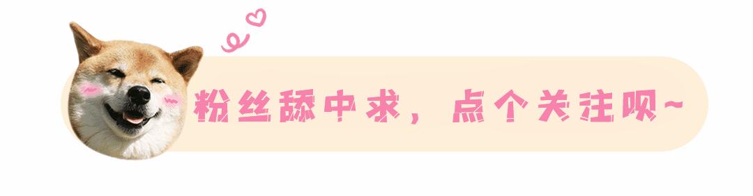实惠又便宜的豆浆机,价格不贵好用的豆浆机