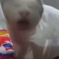 绗旇鏈洿鎹pu鐙樉,绗旇鏈兘鎹笉甯︽牳鏄剧殑cpu