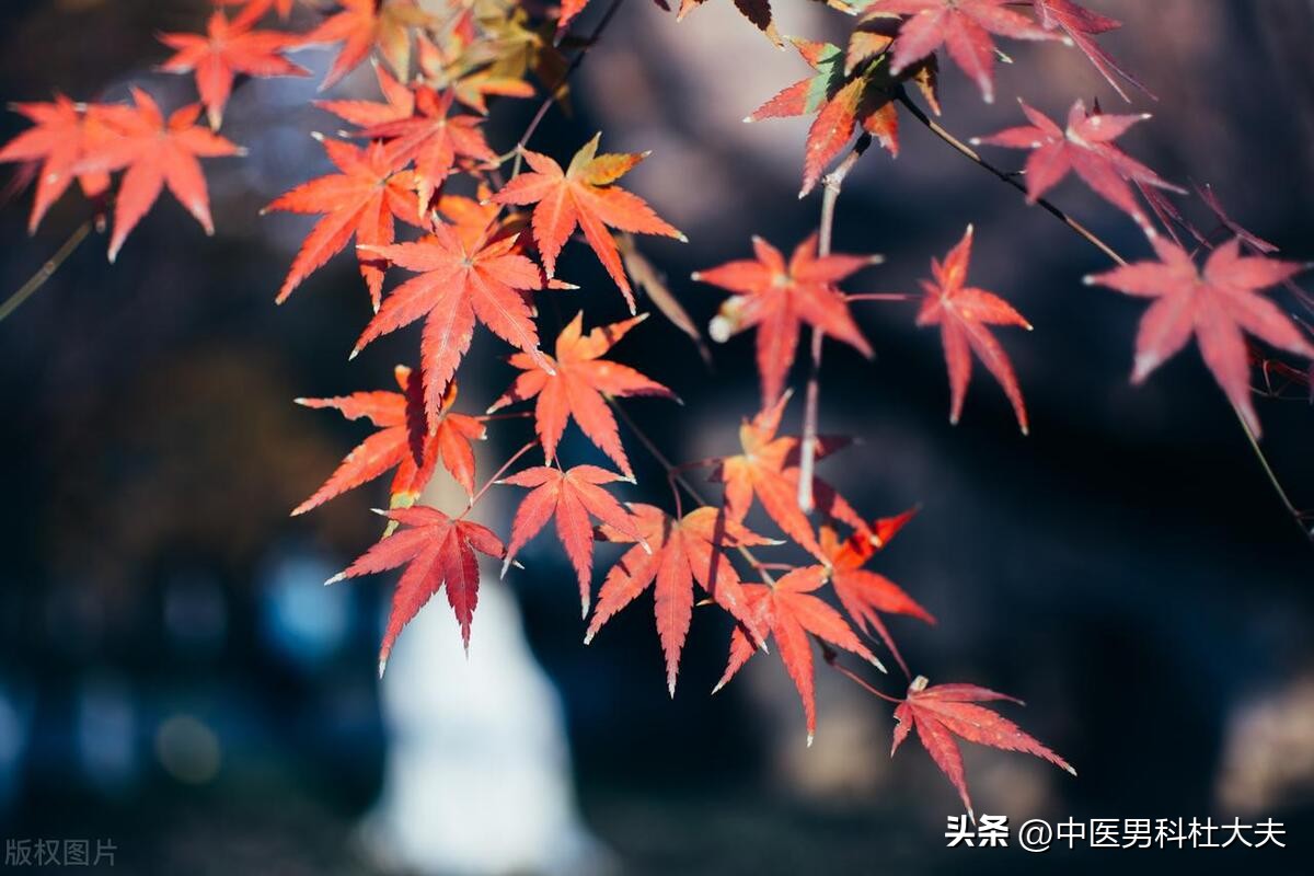 肾虚型前列腺炎的中药方剂,肾虚引起前列腺炎的中成药