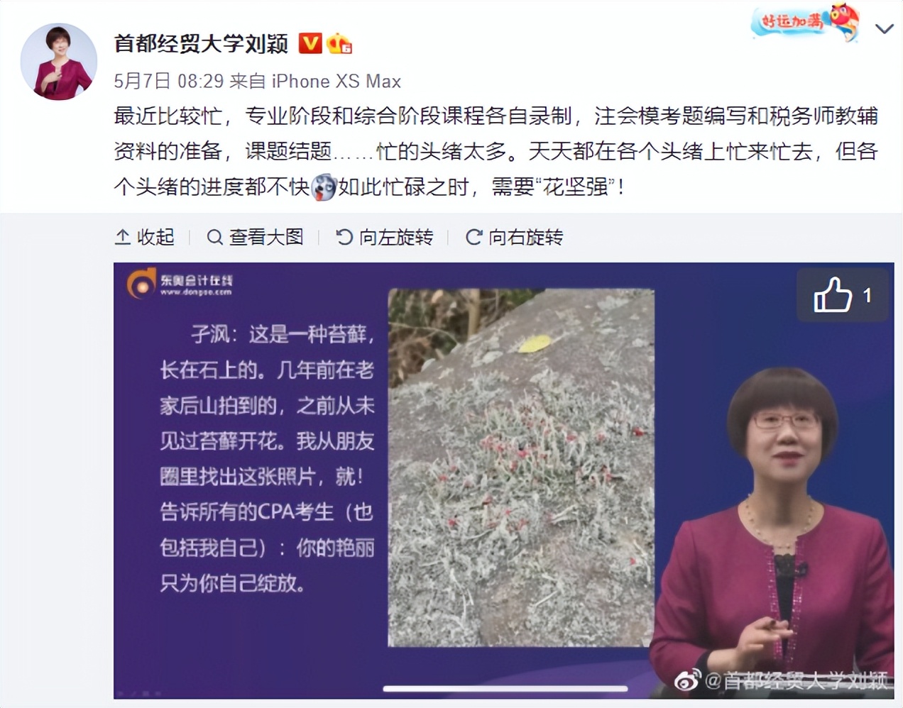 税务师备考东奥刘颖,东奥刘颖的课在哪看