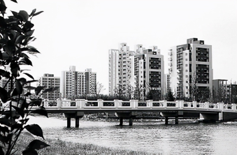 骆锦星买了深圳哪块地,34年前花525万深圳买地