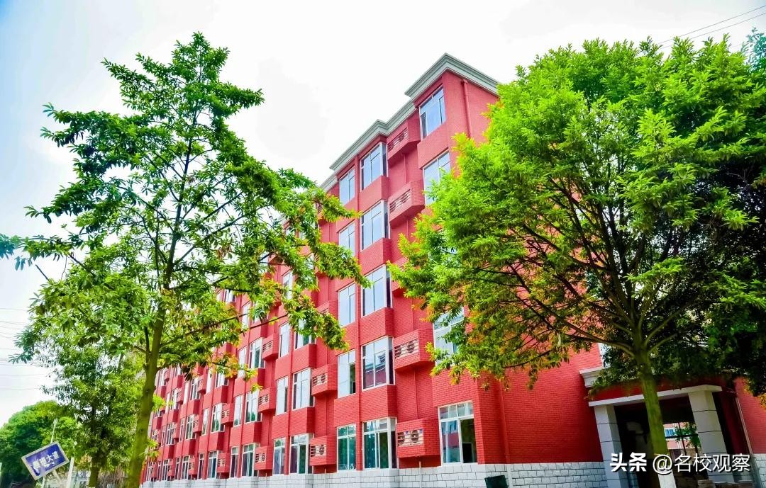 从绵阳、海南、攀西到成都，看“传奇校长”何佳庠的传奇人生