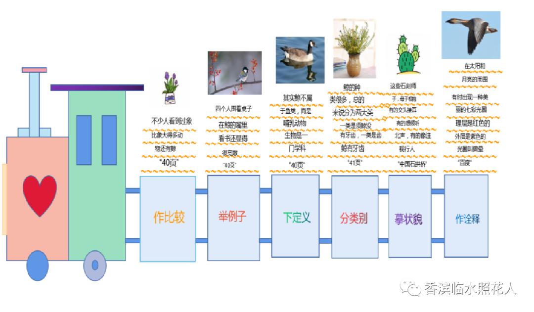 五年级第一单元我的心爱之物书,我的心爱之物小熊笔袋作文五年级