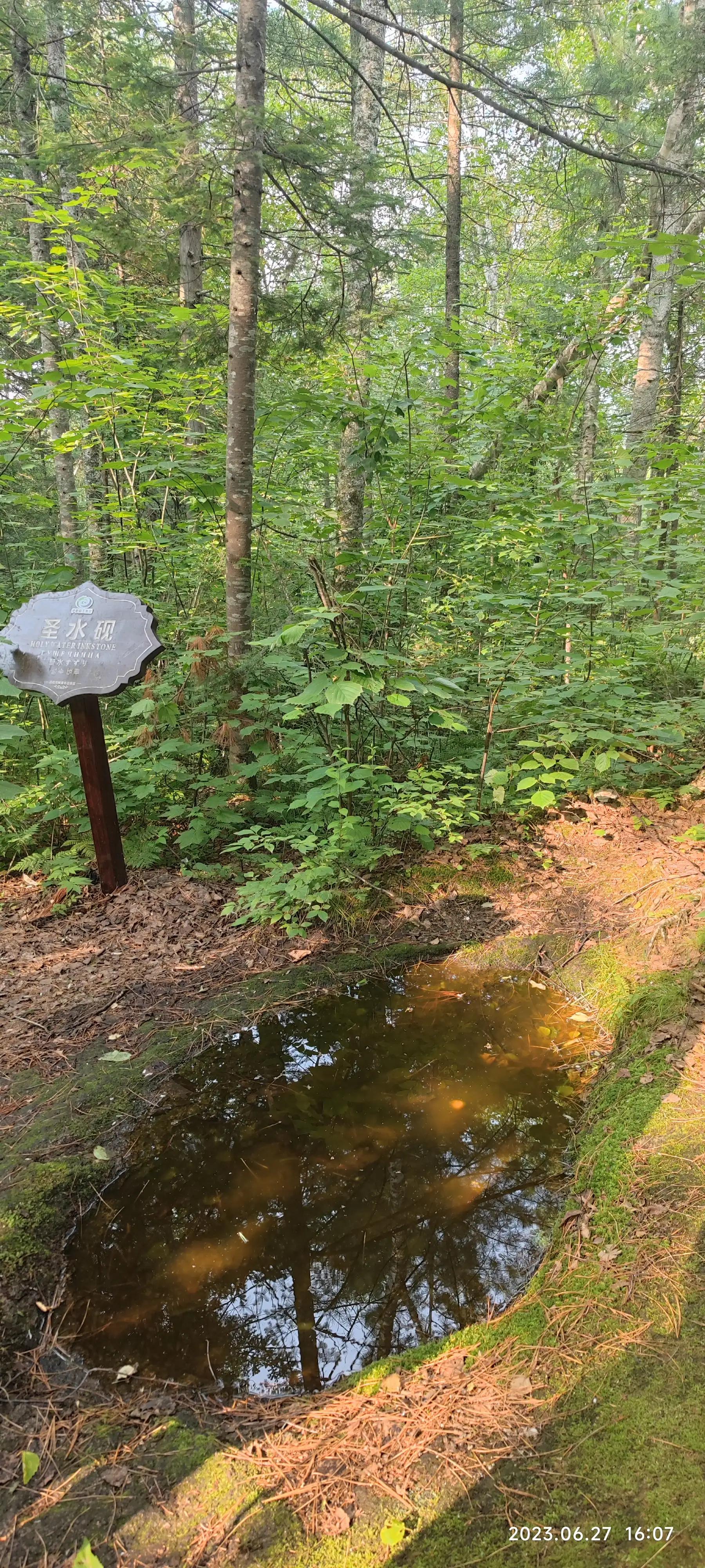 世界山水最美的景色视频,探寻这世界上最美的风景