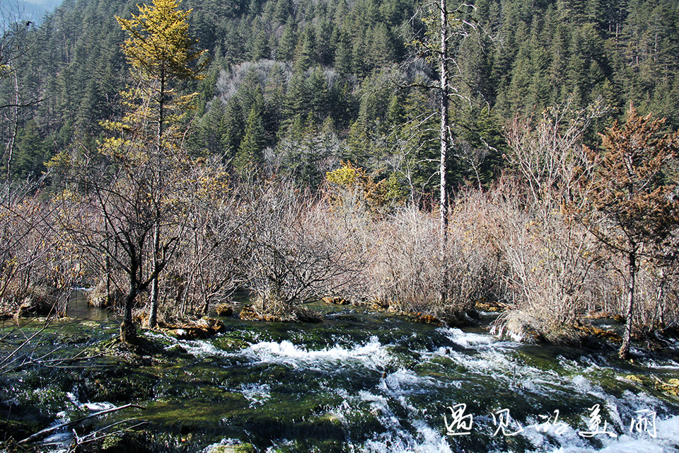 如果一生只去一个古城,一生去一次九寨沟