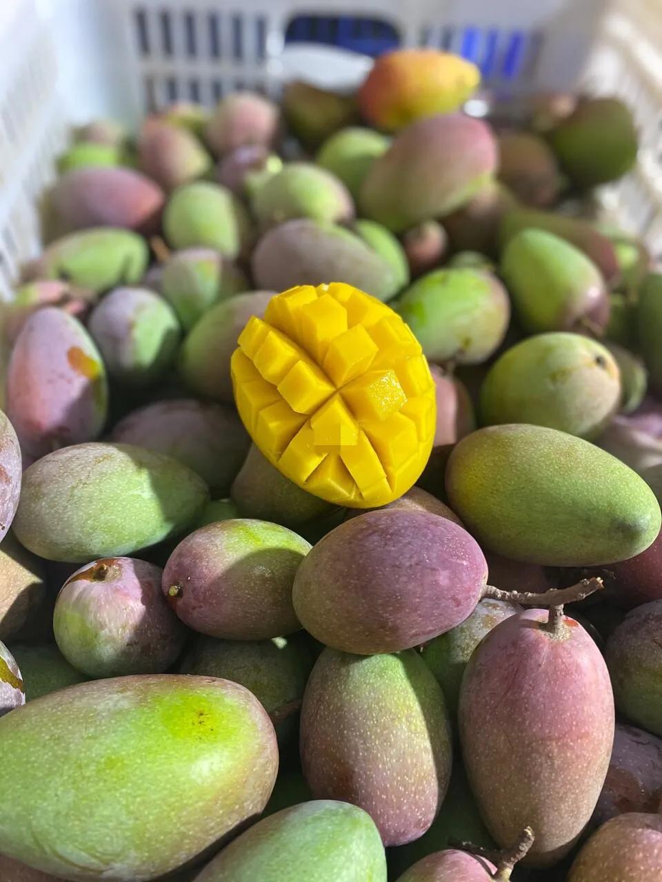 3月吃什么水果五种应季水果推荐,3月份应该吃到哪些水果