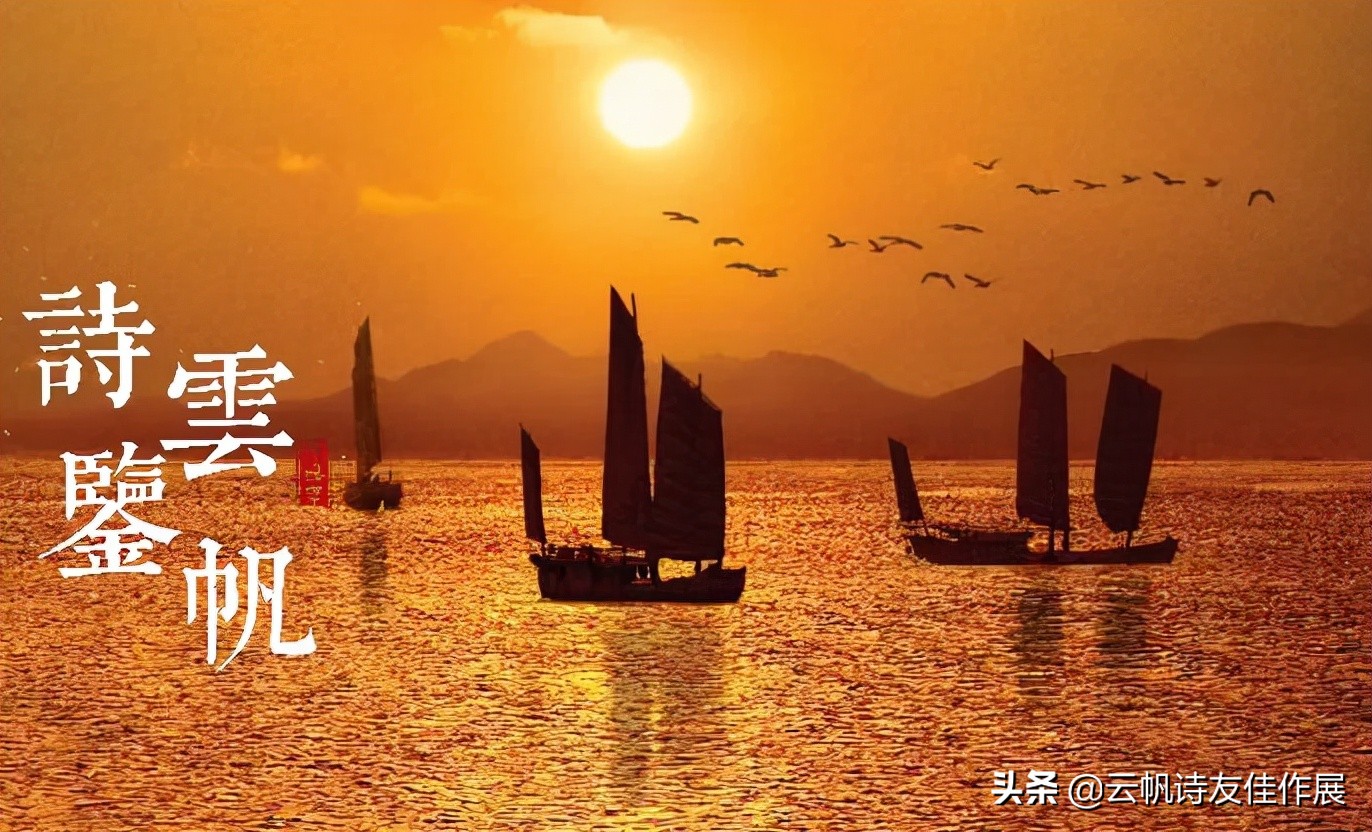 云帆诗会最新一期,云帆诗会完整版