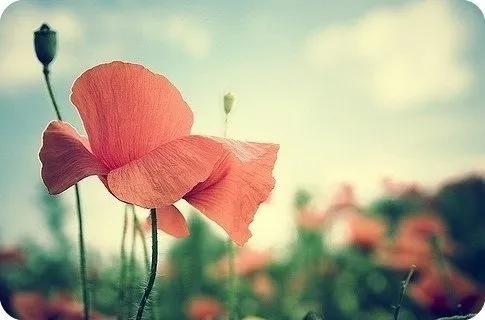 什么之材,什么是可用之材