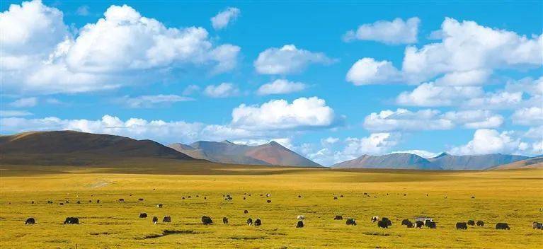 雪山下的梦幻足球场,西藏雪山下的球场