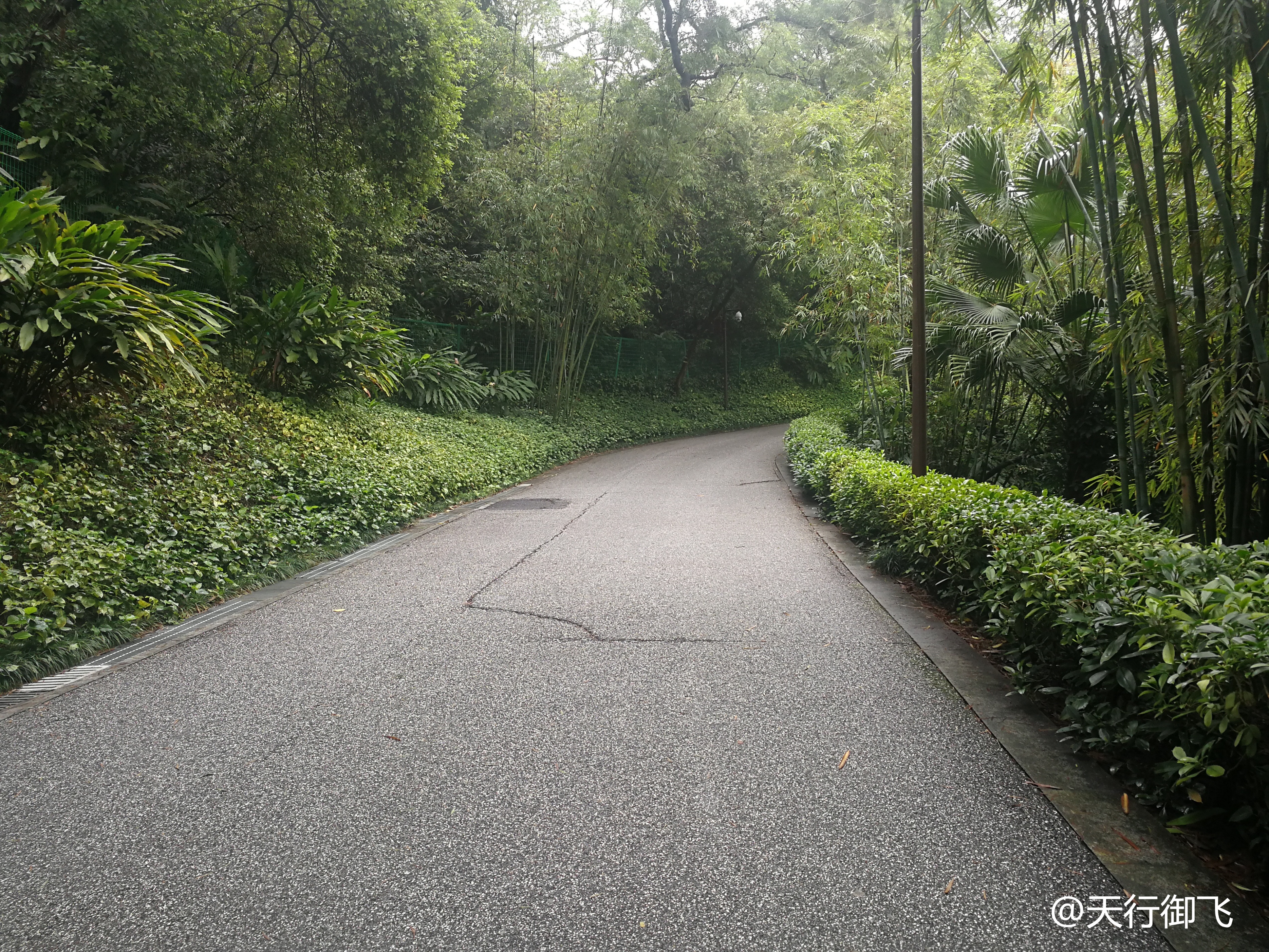 越秀公园游览最佳顺序,广州越秀公园旅游线路图