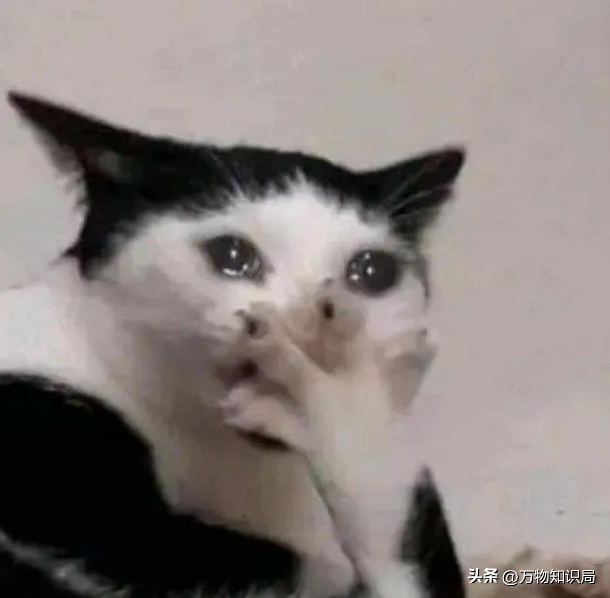 男人几岁生理开始衰退怎么调理,男人生理衰退应该在什么年龄