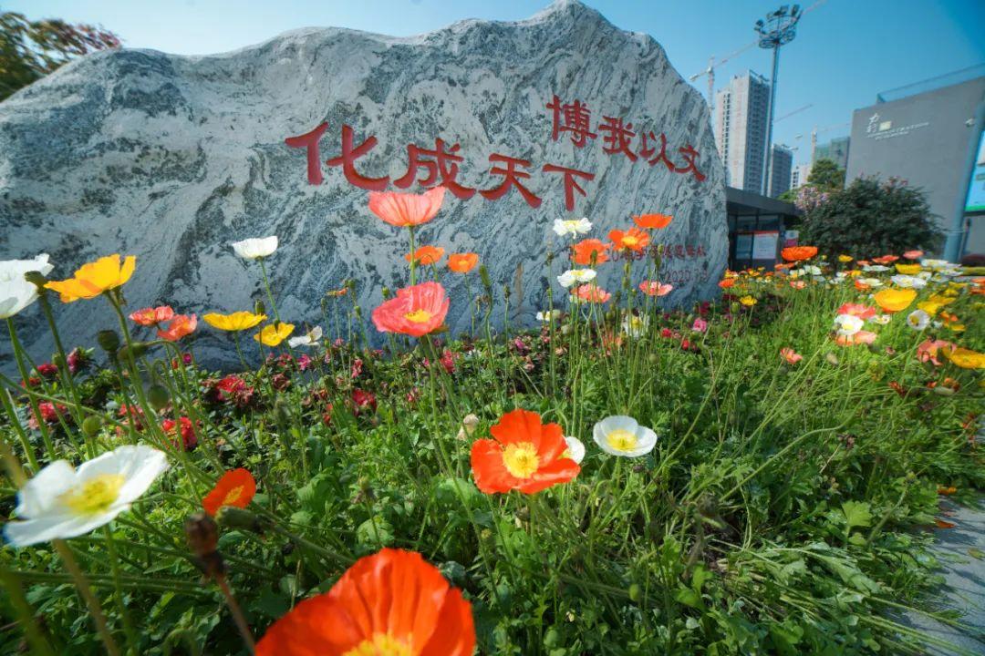 成都市实验外国语学校温江校区,成都市实验外国语学校有几个校区