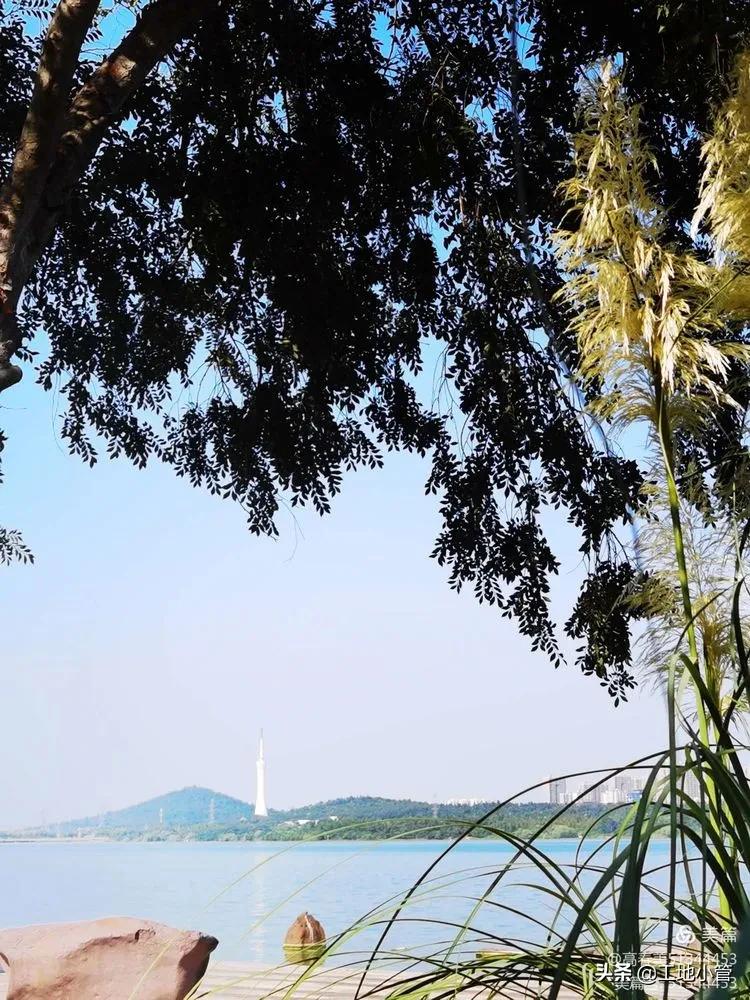 蚌埠心脑血管医院项目,蚌埠为什么要建设心脑血管医院