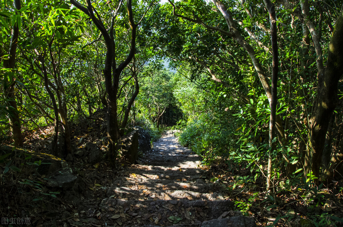 周末森林公园推荐深圳宝安,深圳森林公园登上山顶看美景