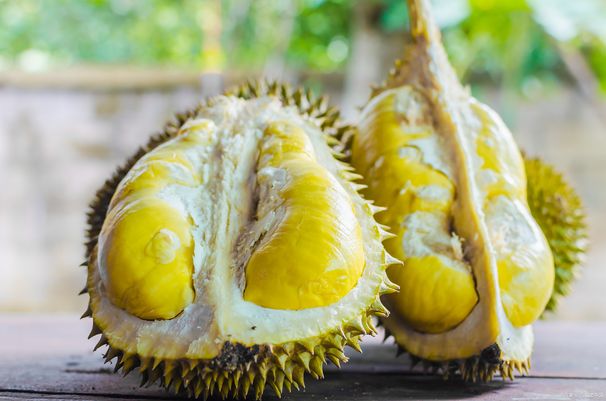 买榴莲如何判断好坏三招教会你,买榴莲学会这6招一挑一个准