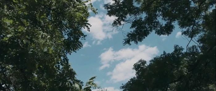 植物抗病基因的研究进展,植物免疫反应调控方法