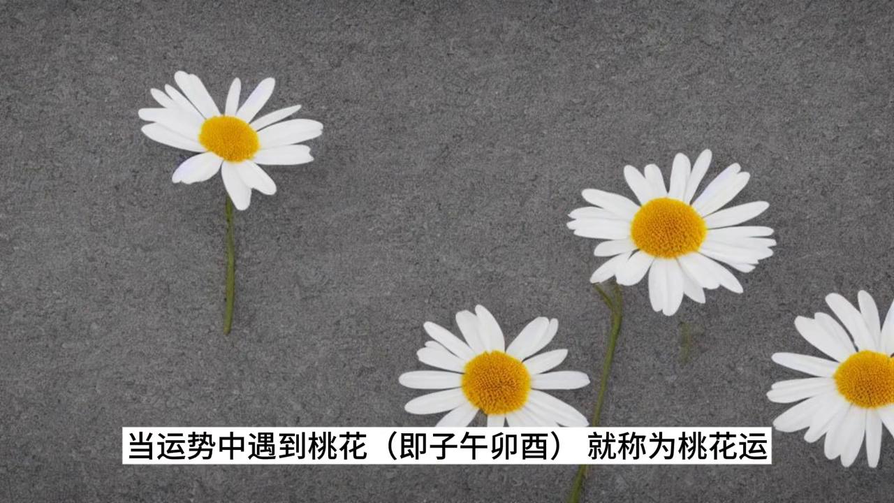 什么叫桃花运旺盛,什么叫官运桃花运
